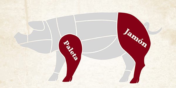 Diferencias entre Jamón y Paleta